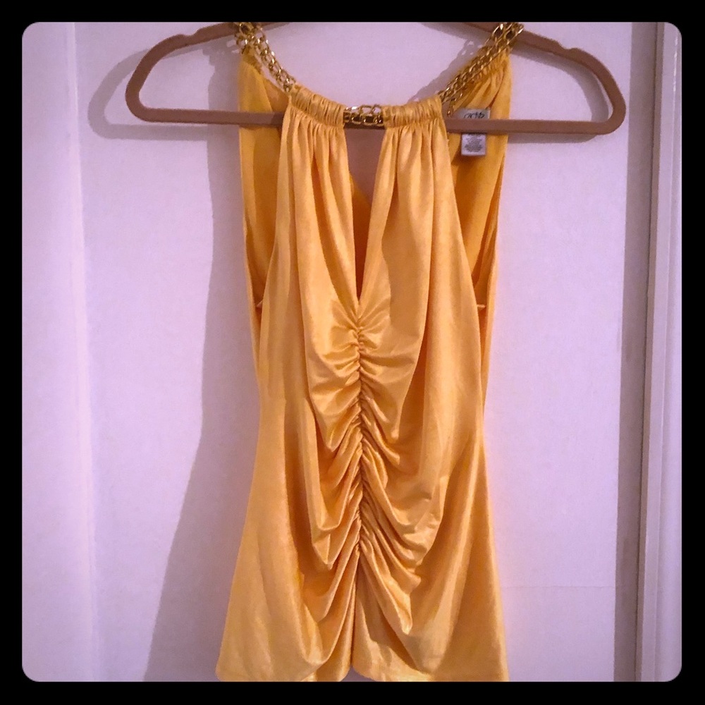 Cache Dress top